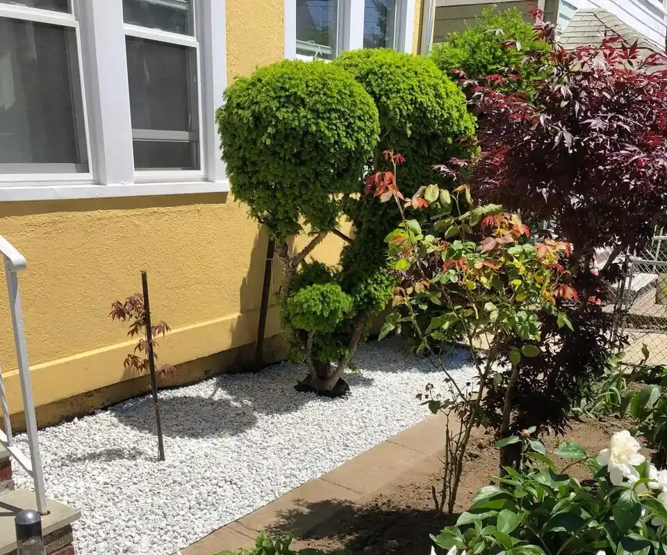 Custom Landscape Design