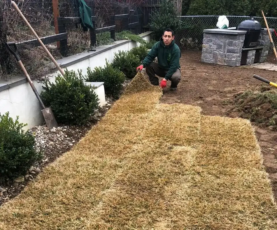 Sod Installation for an Instant Lawn