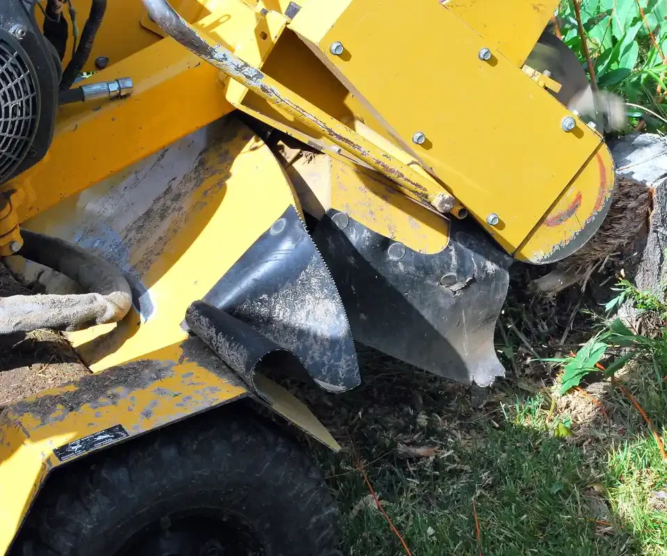 Stump Grinding and Removal