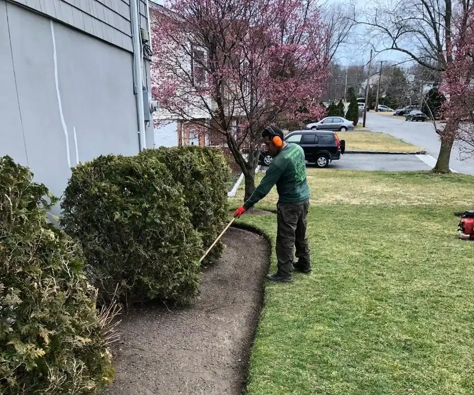 Tree Trimming Done the Right Way